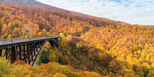 Bridge surrounded by autumn leaves, Aomori