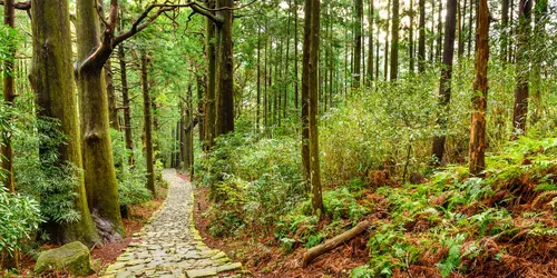 The Kumano Kodo, Kii Peninsula