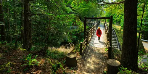 Trekking in Kumano Kodo
