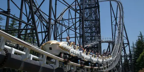 big-ticket-image-613aca72974d8492423865-thumbnail-360x240.jpg