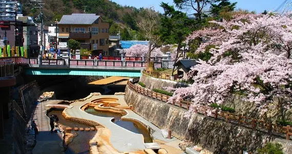 Los cerezos del onsen Arima.